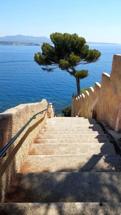Front De - Emplacement Prise Au Calme - T2 Moderne Et Entierement Climatise - A Pieds Apartment Sanary-sur-Mer